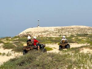 4 Hour South Quad Tour, photo 12