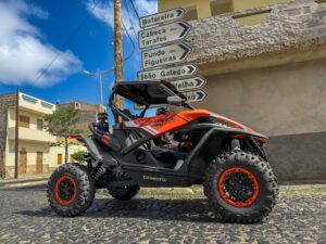Tour de buggy de 4 horas a sul, fotografia 18