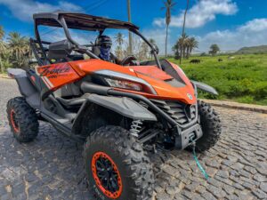 Tour de buggy de 4 horas a sul, fotografia 19
