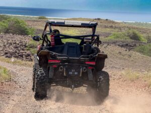 Tour de buggy de 4 horas a sul, fotografia 1