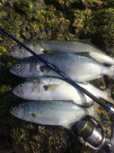 Escursione in quad con pesca, foto 8