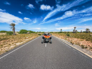 Tour in buggy di 2 ore a nord, foto 23