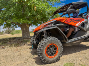Tour de buggy de 4 horas a sul, fotografia 7