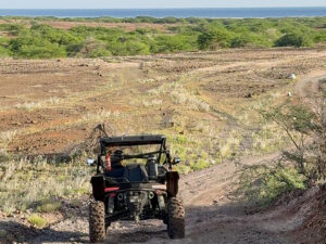Tour de buggy de 4 horas a sul, fotografia 15