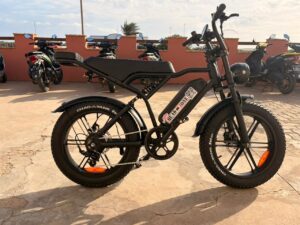 E-Bike Rentals, photo 3