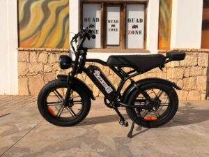 E-Bike Rentals, photo 2