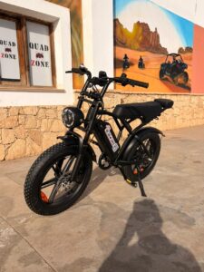 E-Bike Rentals, photo 4