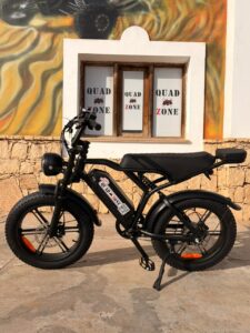 E-Bike Rentals, photo 1